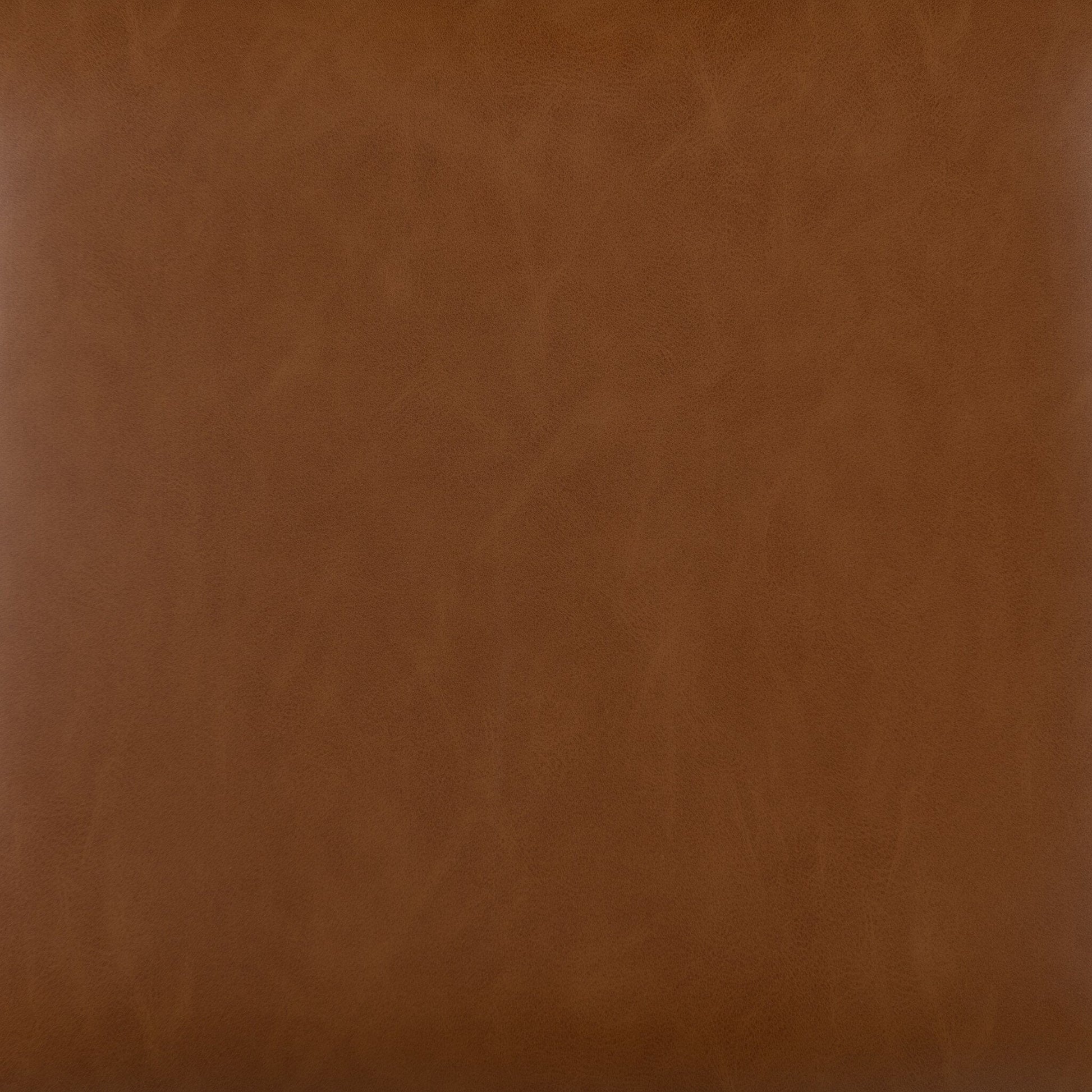 Dalton Leather and Cane Dining Chair