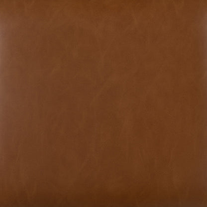 Dalton Leather and Cane Dining Chair